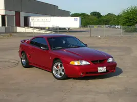Stang3.webp
