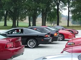 SSandCobra.webp