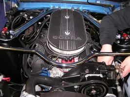 Fordfastbackmotor.webp