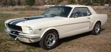 65stang1.webp