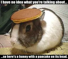 bunny-pancake.webp