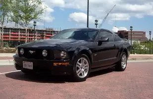 05Stang001.webp