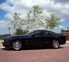 05Stang004.webp