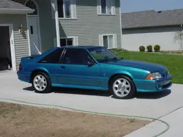 8cobra.webp