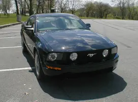 05stang-02.webp