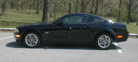 05stang-04.webp