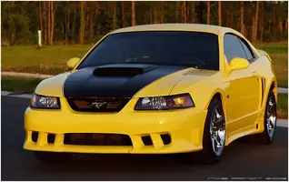 01GTnew_02.webp