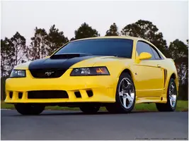 01GTnew_01.webp