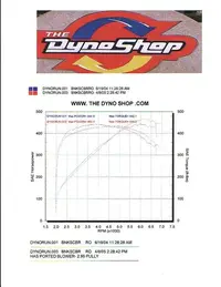 dyno1.webp
