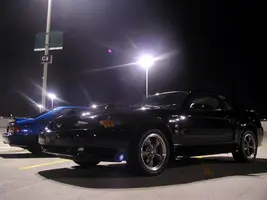 P1010429.webp