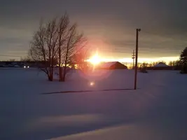 100_4379a.webp
