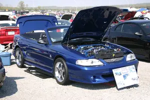 mustang_40th_300.webp