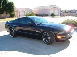 mustanggtbirds042.webp