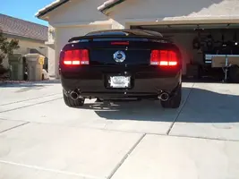 mustanggtbirds045.webp