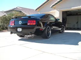 mustanggtbirds046.webp