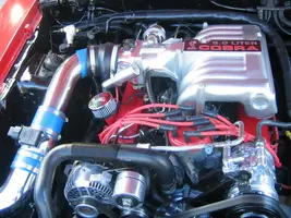 NewStang055.webp