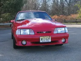NewStang042.webp