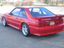 NewStang049.webp