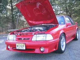 NewStang050.webp