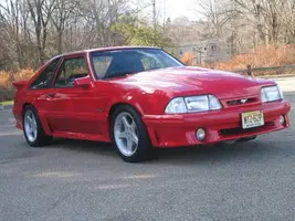NewStang037.webp