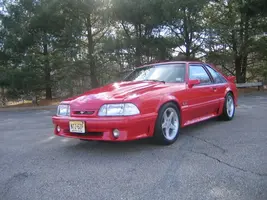 NewStang013.webp