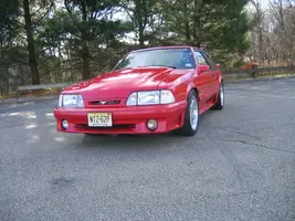 NewStang014.webp