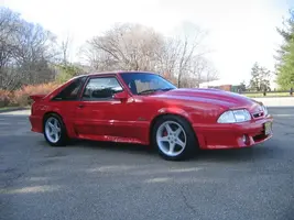NewStang016.webp