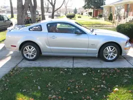 stang2.webp