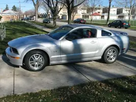 stang6.webp