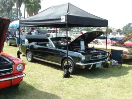 DSCF0067.webp