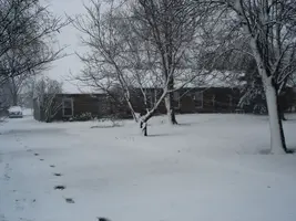 1stsnow4.webp