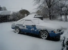 1stsnow3.webp