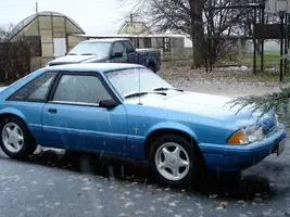 1stsnow.webp