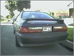 lxbackshot2.webp