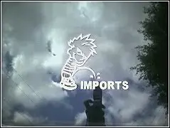importspiss.webp
