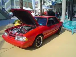 fxezq.webp