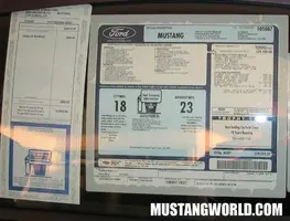 mustangworld20.webp