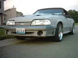 Picture_006.webp