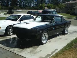 Picture_011.sized.webp