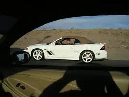 cruise3.webp