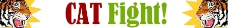 cat_fight_banner.webp