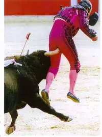 bullfight.webp