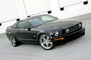 gfgstang2.webp