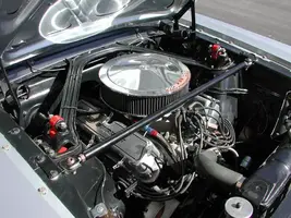 17.webp