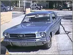 bestmustang.webp