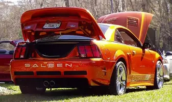 saleen1.webp