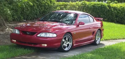 39207694Stang18.webp