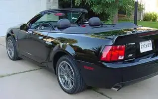 mikescobfg18.webp