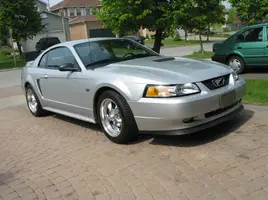 stang3.webp