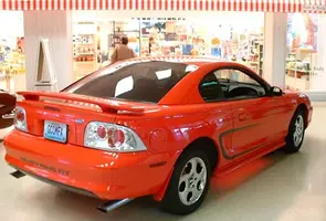 stang9.webp